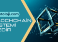 Blockchain Sistemi Nedir