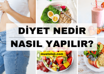 Diyet Nedir ve Diyet Nasıl Yapılır