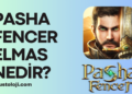 Pasha Fencer Elmas Nedir