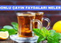 Limonlu Çayın Faydaları Nelerdir?