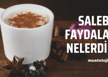 Salep Faydaları Nelerdir?