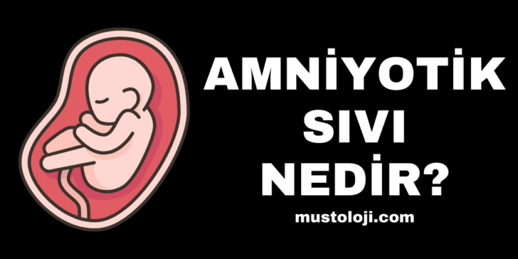 Amniyotik Sıvı Nedir?