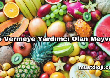 Kilo Vermeye Yardımcı Olan Meyveler Nelerdir?