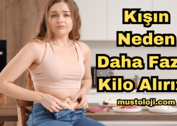 Kışın Neden Daha Fazla Kilo Alırız?