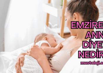 Emziren Anne Diyeti Nedir?
