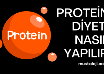 Protein Diyeti Nedir?