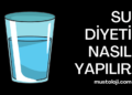 Su Diyeti Nasıl Yapılır?