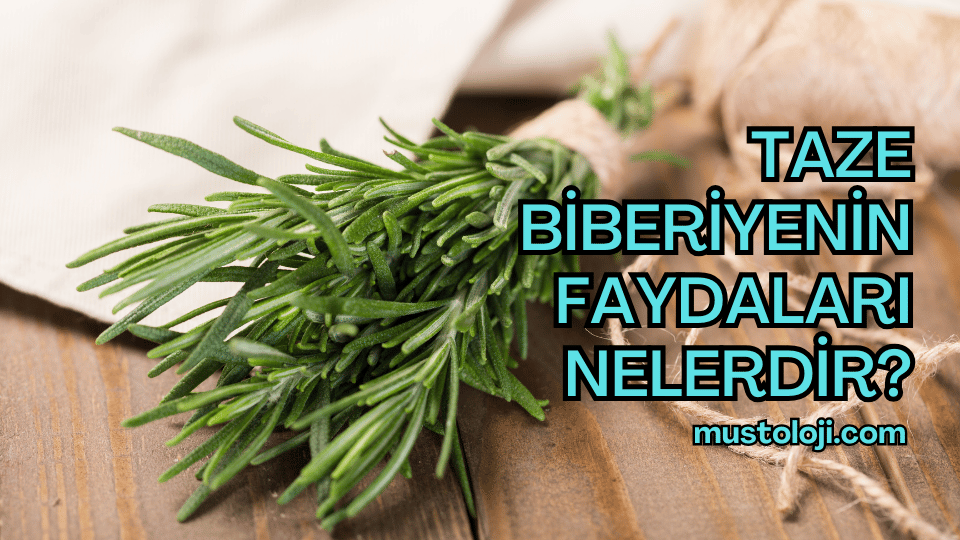 Taze Biberiyenin Faydaları Nelerdir?