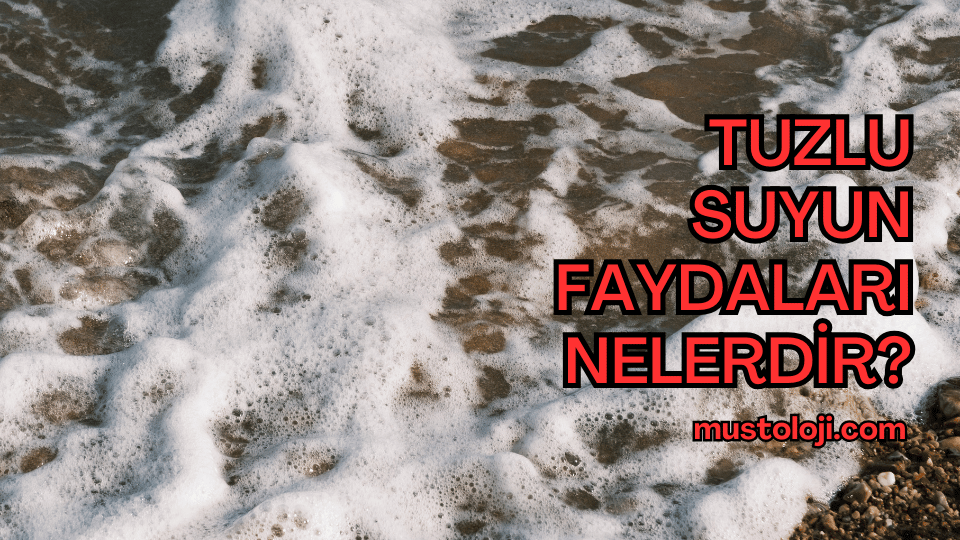 Tuzlu Suyun Faydaları Nelerdir?