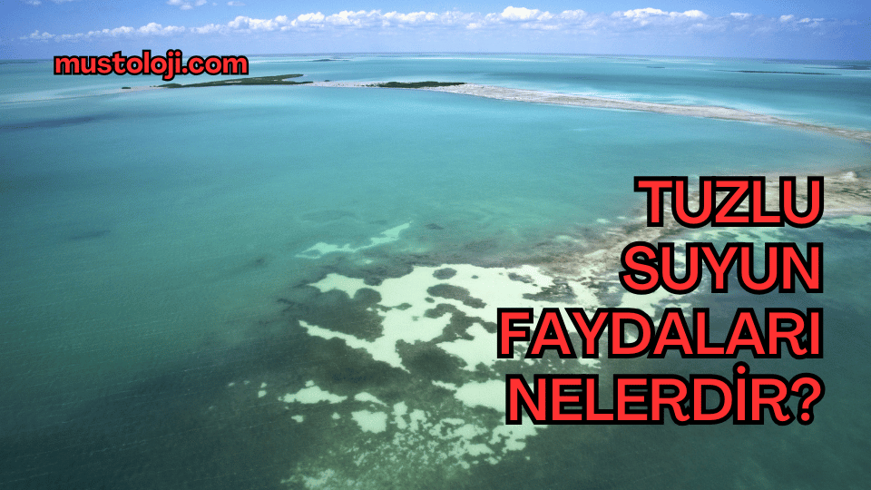Tuzlu Suyun Faydaları Nelerdir?