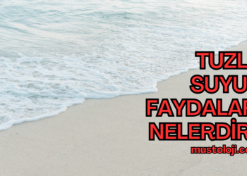 Tuzlu Suyun Faydaları Nelerdir?