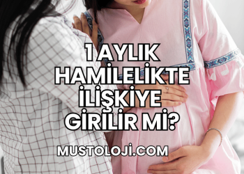 1 Aylık Hamilelikte İlişkiye Girilir mi?