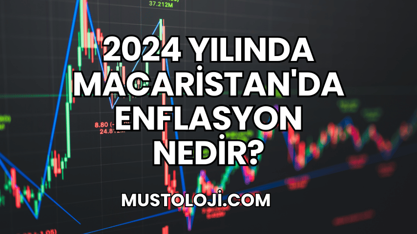 2024 Yılında Macaristan'da Enflasyon Nedir?