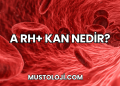 A Rh+ Kan Nedir?