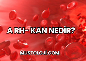 A Rh- Kan Nedir?