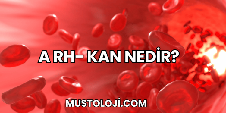 A Rh- Kan Nedir?
