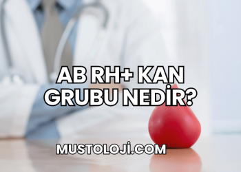 AB Rh+ Kan Grubu Nedir?