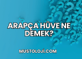 Klav Ne Demek?