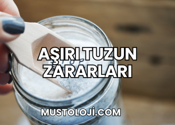 Aşırı Tuzun Zararları Nelerdir?