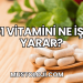 B1 Vitamini Ne İşe Yarar?