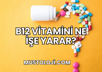 B12 Vitamini Ne İşe Yarar?