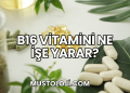 B16 Vitamini Ne İşe Yarar?