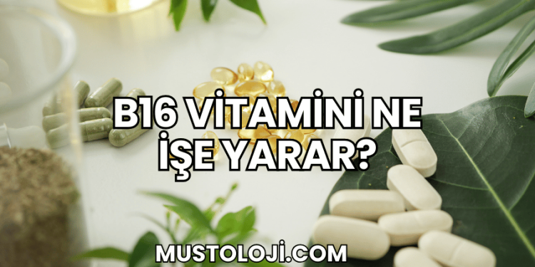 B16 Vitamini Ne İşe Yarar?