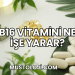 B16 Vitamini Ne İşe Yarar?