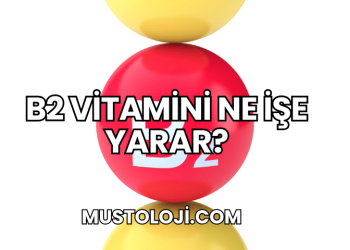 B2 Vitamini Ne İşe Yarar?