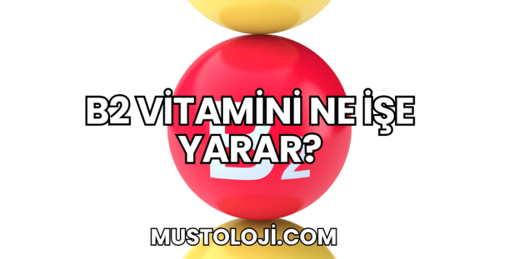 B2 Vitamini Ne İşe Yarar?