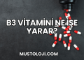 B3 Vitamini Ne İşe Yarar?