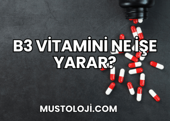B3 Vitamini Ne İşe Yarar?