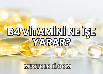 B4 Vitamini Ne İşe Yarar?