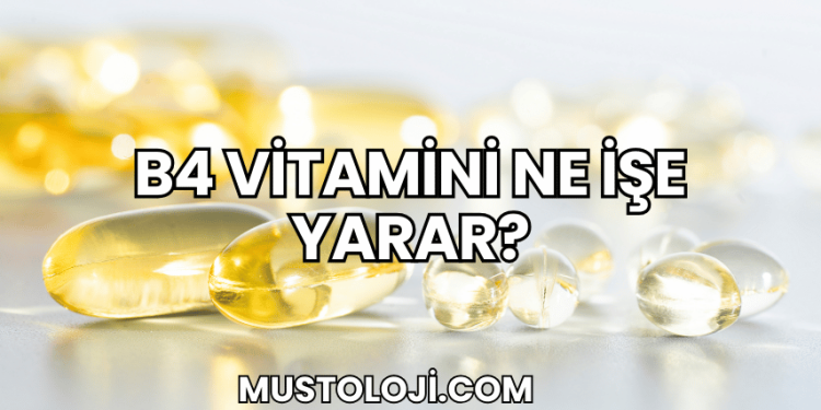 B4 Vitamini Ne İşe Yarar?