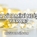 B4 Vitamini Ne İşe Yarar?