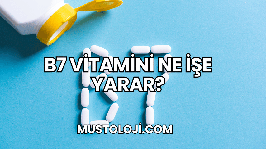 B7 Vitamini Ne İşe Yarar?