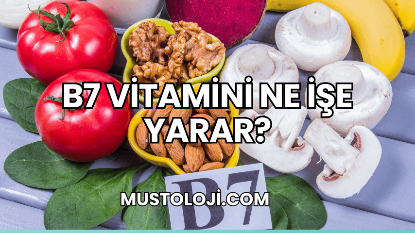 B7 Vitamini Ne İşe Yarar?
