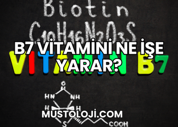 B7 Vitamini Ne İşe Yarar?