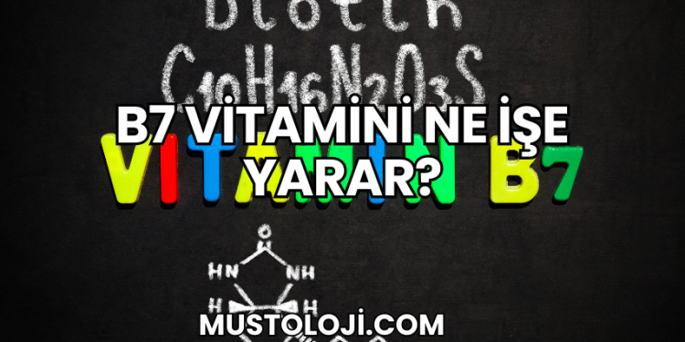 B7 Vitamini Ne İşe Yarar?