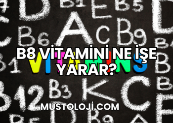 B8 Vitamini Ne İşe Yarar?