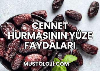 Cennet Hurmasının Yüze Faydaları