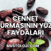 Cennet Hurmasının Yüze Faydaları