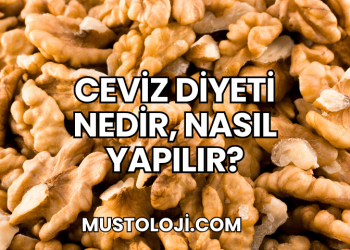 Ceviz Diyeti Nedir, Nasıl Yapılır?