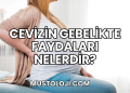 Cevizin Gebelikte Faydaları Nelerdir?