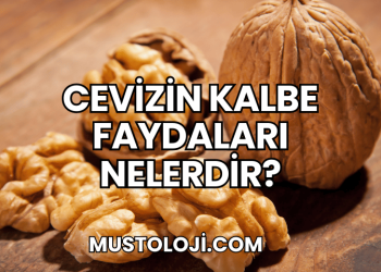 Cevizin Kalbe Faydaları Nelerdir?