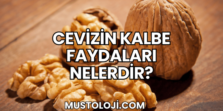 Cevizin Kalbe Faydaları Nelerdir?