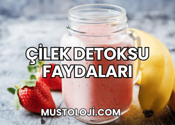 Çilek Detoksu Faydaları Nelerdir?