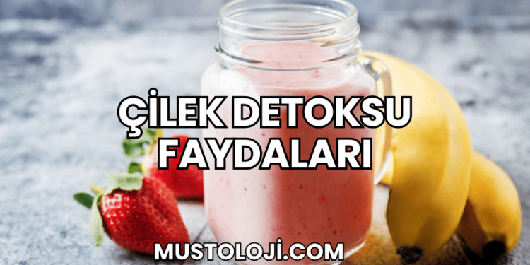 Çilek Detoksu Faydaları Nelerdir?
