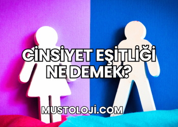Cinsiyet Eşitliği Ne Demek?