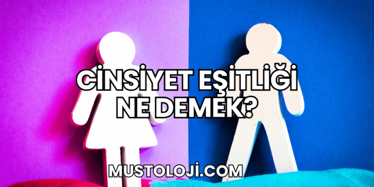 Cinsiyet Eşitliği Ne Demek?